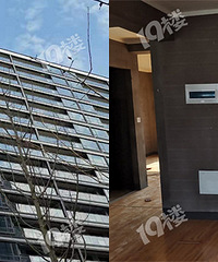 ̽�ü���ĳ��������¥�� ��������ĺ�Ư��