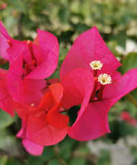 90�����Ů ����ȦС ����171 �Ҽ��˱��ص���ͨ����