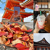 �ձ��ĳ�����Ҷ������