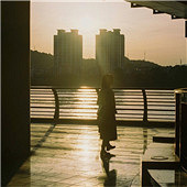 ����С����Ҷ���