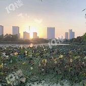 ���빫԰��ô��