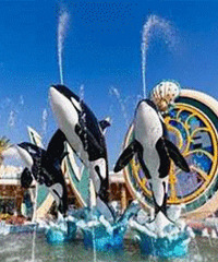 �������ݳ����� ����ȥ������ѣ�