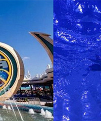 ˫ʮһ���� �Ϻ�����˫��һ���������