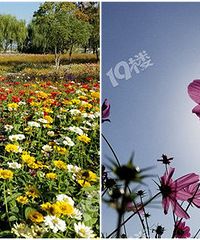 ����������̵� ��������ˣ�