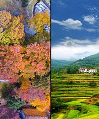 �����ٰ������� ̽��ָ�ϴ���ġ��߹š�