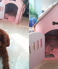 ��̨�й� ���з�ɫС�� ��������⣡