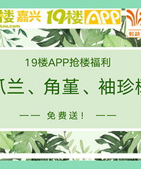 19¥APP���� зצ��������������ͣ�