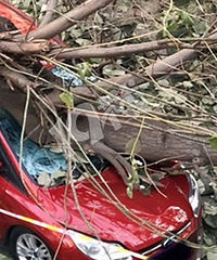 ����һ������ ����������ѹ��̫����