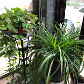 �к���Ҳ����Ū����