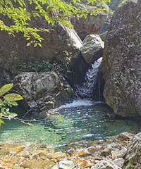 ͽ�����ã����˸����ġ�С��կ��