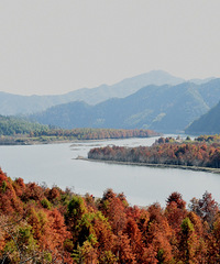 ���ϴ������Լ��� ��ɼ�� ̫���ˣ�������ȥһ��