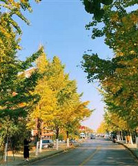 ����ȥ������·������ ���ã�