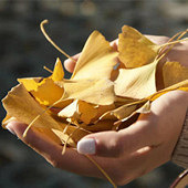 ����·�����ӻ��ˣ�