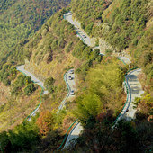 ���������ϴ������Լ�