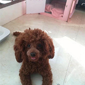 ��̨�й� �������