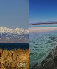 ���ɫ�ĺ���̫���ˣ���������������