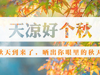 晒出你手机里的秋天 送泡茶神器!