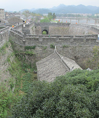 �����ٺ��Ľ��ϳ��� �й�ų�ǽ��ġ������ϵꡱ