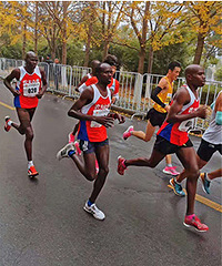 2019���˹��������� ����˲��عˣ�