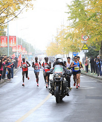 ���ſڿ�����