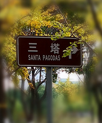 ����Ҷ�� ���ڻ���