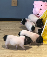 �� ������û��