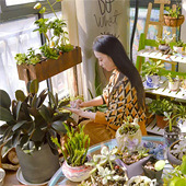 ���ɽ�����̨һ��