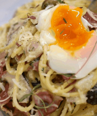 ���ĵ������� �벻���Ŀ�ζ