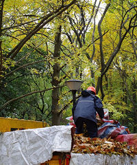 ĬĬ�����ĳ�������ʦ