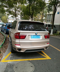 С��Υͣ �ؼ����赲���ߣ�����������ʮ����� �������ʺܲ