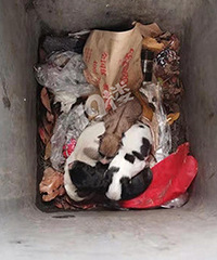 ������˭�Ѹճ�����С�̹���������Ͱ