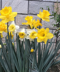 �����Խ���Ҳ�ܺ�Ư��