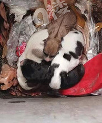 ������˭�Ѹճ�����С�̹���������Ͱ