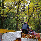 ĬĬ�����ĳ�������ʦ