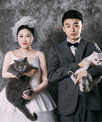 èè̫�����Ҷ�������