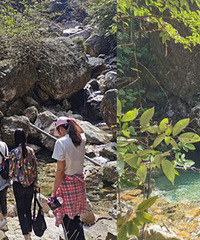 ͽ��������˳����ġ�С��կ�� �ٲ��ڶ�