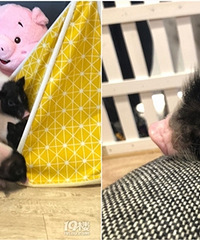 ����Ҳ��ߣ�����ˣ��Ķ����Ȼ���