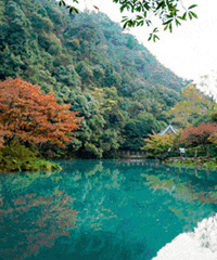 110Ԫ����Ϫʮ�˽�ͽ��һ����