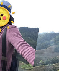 29�����MM ����168 ϣ��������