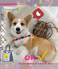 ��Ц�Ĺ��ӣ���������̫��