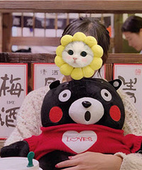 94���ڱ��ʦ ���ֻ�365���ﻷ�ຣ��