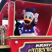 ����Ѽ�ȷ��� ����