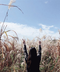 ����88Ԫһ���ط���ʮ����ֵ̫��