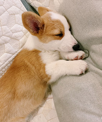 �Ҽҹ��ӵĳɳ�ʷ ��û��ͬ��ϲ���»�