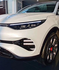 ���������ʶ��������һ�ۿ��žͰ����ˣ�