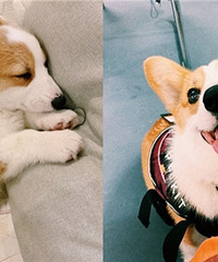 �Ҽҹ��ӵĳɳ�ʷ ��û����ϲ���»��ı���