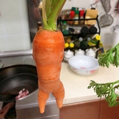 ץ��һ���ܲ��ɾ���