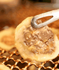 �����Ǽҵ�������Ȧ���� ���ۣ�