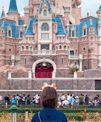 ������ٵ�ӵ���������wanghongС���