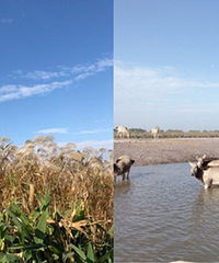 �ұ���88Ԫ������̫�����ˣ�һ�ص�����